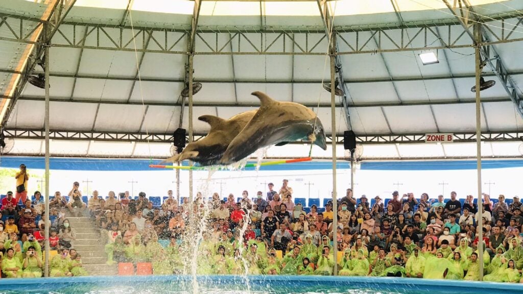 ที่เที่ยวภูเก็ต - Dolphins Bay Phuket