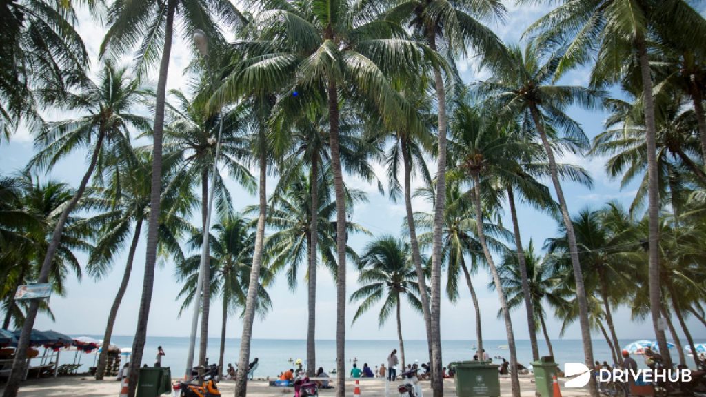 ที่เที่ยวใกล้กรุงเทพ - ชายหาดบางแสน จ.ชลบุรี (Bang Saen Beach)
