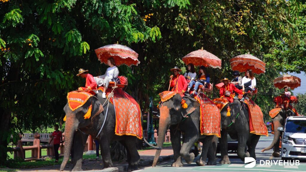ที่เที่ยวอยุธยา - วังช้างอยุธยา แล เพนียด (Ayutthaya Elephant Palace & Royal Kraal)

