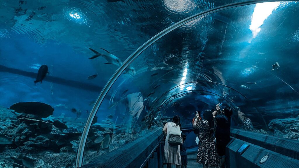 ที่เที่ยวพัทยา - อันเดอร์วอเตอร์เวิลด์ (Underwater World)  