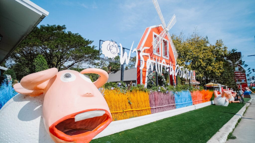ที่เที่ยวนครนายก - ฟาร์มแกะนครนายก (Nakhonnayok Sheep Farm)