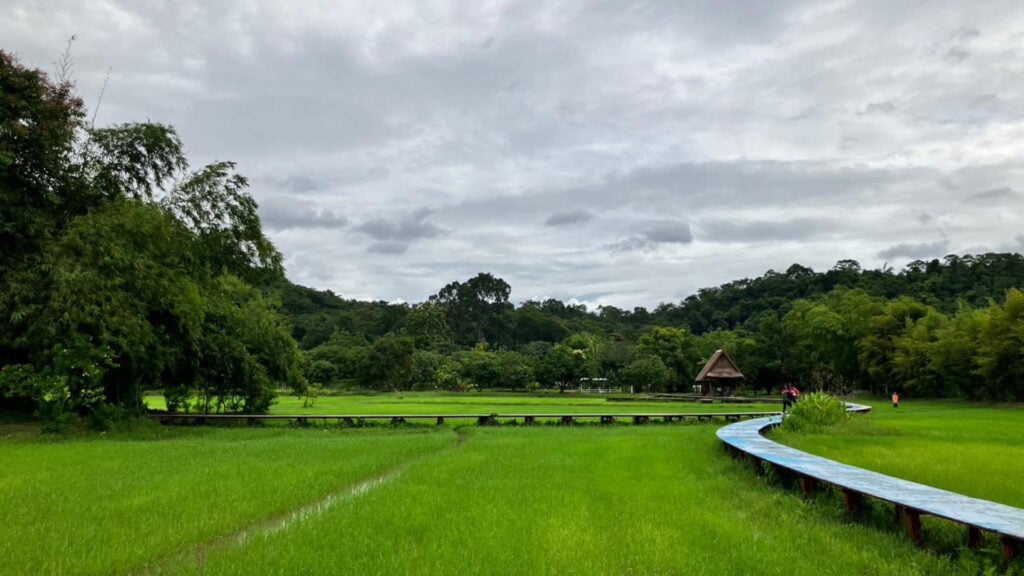 ที่เที่ยวนครนายก - ศูนย์การเรียนรู้ภูกะเหรี่ยง (Phu Kraieng Learning Center)