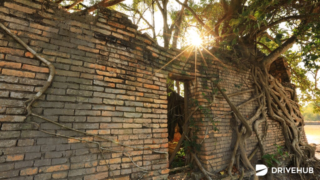 ที่เที่ยวนครนายก - วัดป่ากระทุ่ม (Wat Pa Krathum)