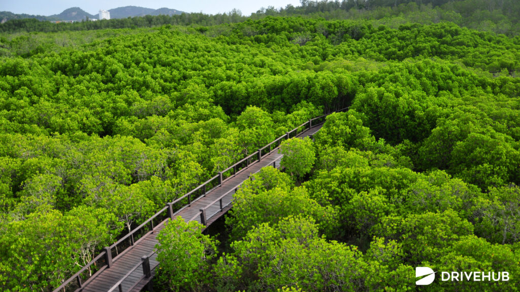 ที่เที่ยวหัวหิน - วนอุทยานปราณบุรี (Pranburi Forest Park)