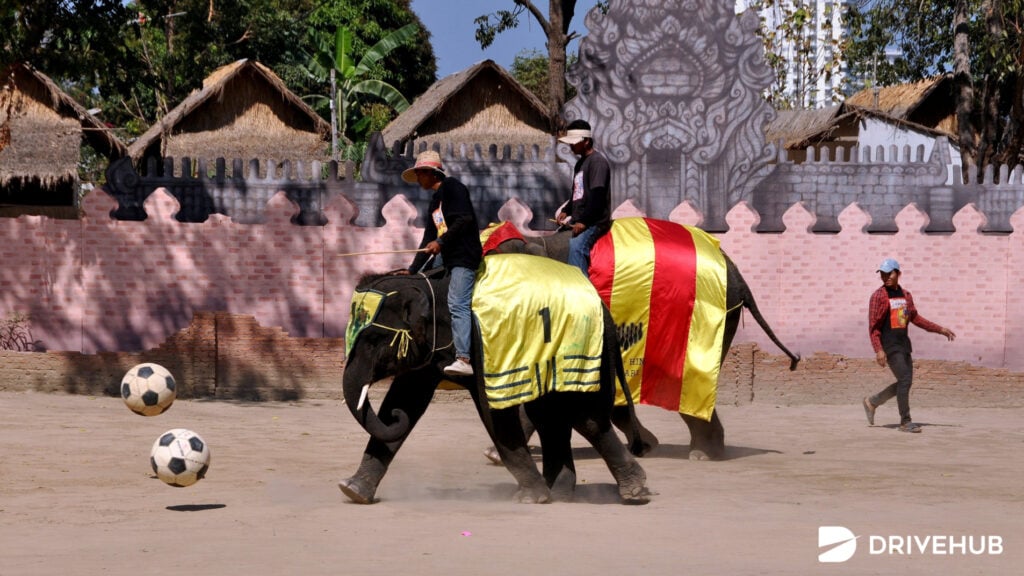 ที่เที่ยวหัวหิน - หมู่บ้านช้าง หัวหิน (Elephant Village)